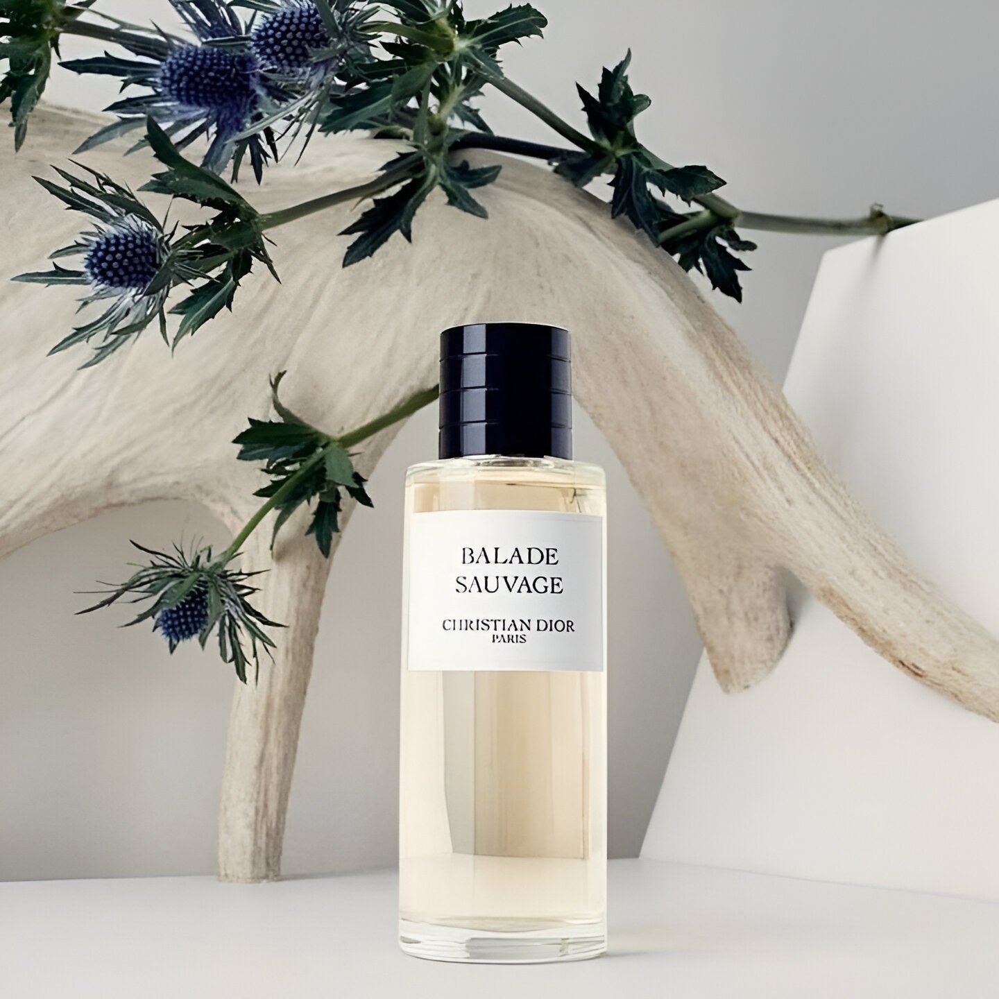 Balade Sauvage bottle